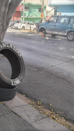 Vulcanizadora Luna Manuel De Austri