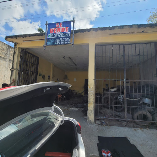 Vulcanizadore Bigotes