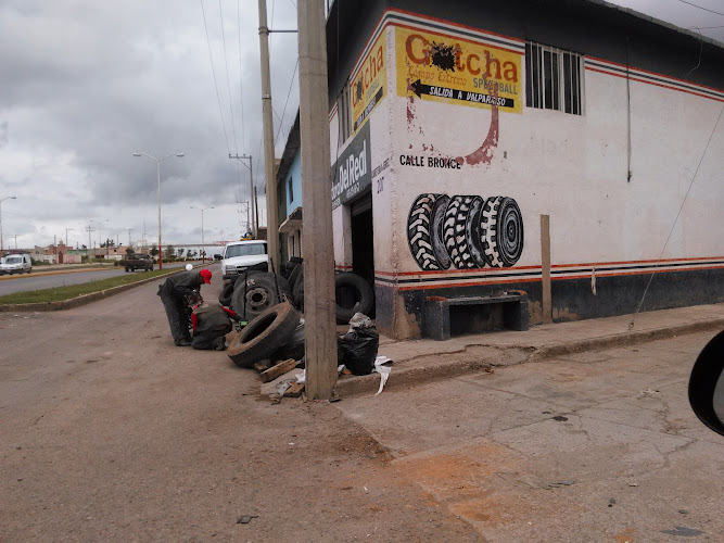 Vulcanizadora Del Real