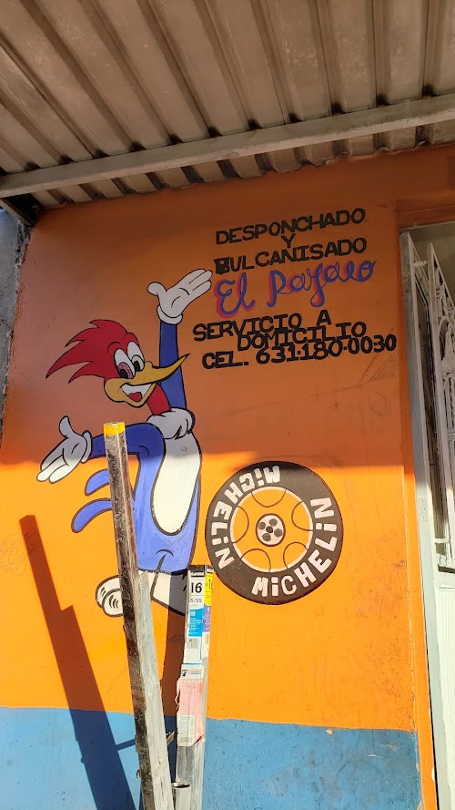 Desponchado Y Vulcanizado El Pájaro