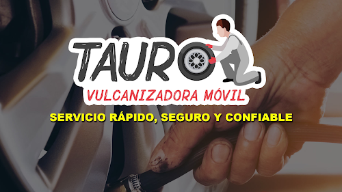 Vulcanizadora Móvil Tauro