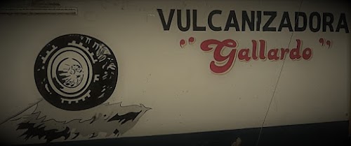 Vulcanizadora 